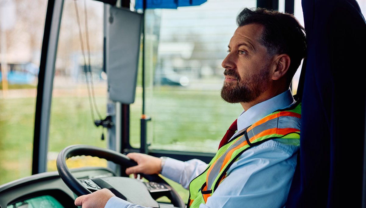 Seat belts in buses law