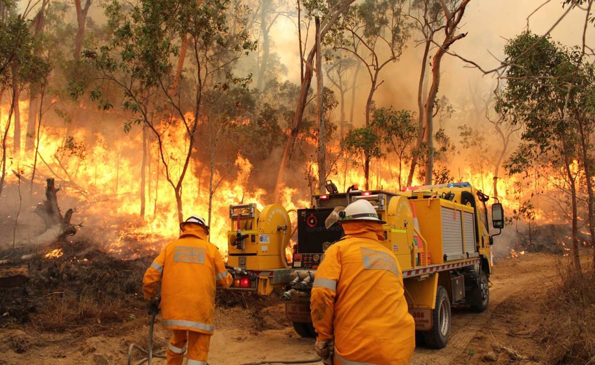 Queensland fire service in action image
